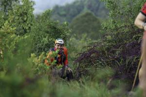 BIB: 
                            <button type="button" onclick="openModal(24761516)" class="btn btn-primary btn-sm float-right btn-popup" data-toggle="modal" data-target=".modal-high-quality">
                        <i class="fas fa-shopping-cart"></i> Add to Cart
                    </button>
                                            <button type="button" onclick="isThisMe(24761516, true)" class="btn btn-success btn-sm float-right btn-popup btn-isme hidden" data-toggle="tooltip" data-placement="bottom" title="นี่คือรูปของคุณใช่ไหม คลิกที่นี่เพื่อเอาเข้าอัลบั้ม">
                        <i class="fas fa-plus"></i> Add to album
                    </button>
                    <button type="button" onclick="isThisMe(24761516, false)" class="btn btn-warning btn-sm float-right btn-popup btn-isnotme hidden">
                        <i class="fas fa-ban"></i> Remove from album
                    </button>